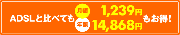 ADSLと比べても月額1,239円／年額14,868円もお得！