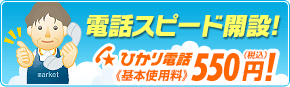 法人向けひかり電話