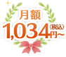 月額1,034円～