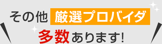 その他厳選プロバイダ多数あります！